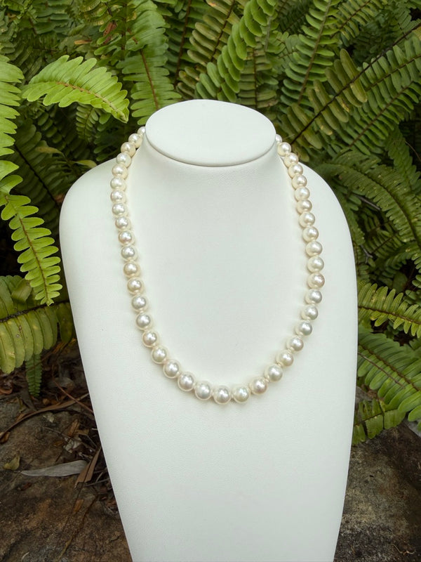 Japanese Akoya Pearls Necklace Strand (C)