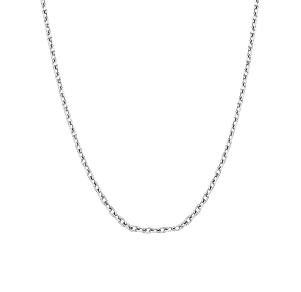 Chain - Blaze Stainless Steel Fine 2mm Cable - 2 Colours