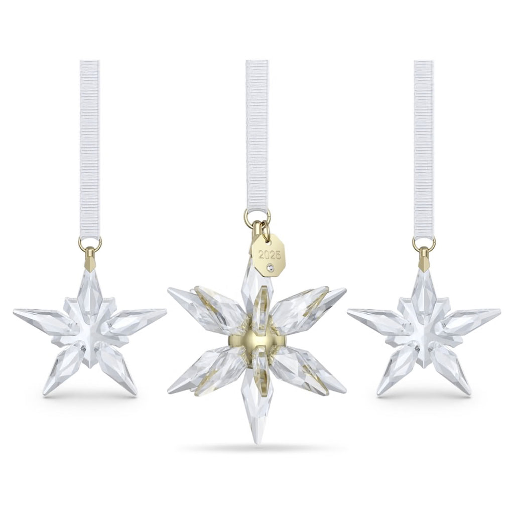 Annual Edition: 3D 2025 Ornament Set