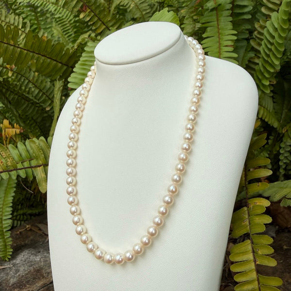 Japanese Akoya Pearls Necklace Strand (H)