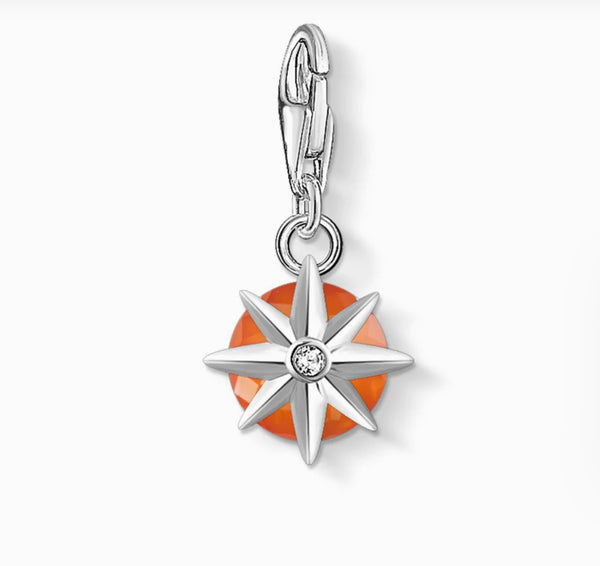 Birthstone - January Silver Charm