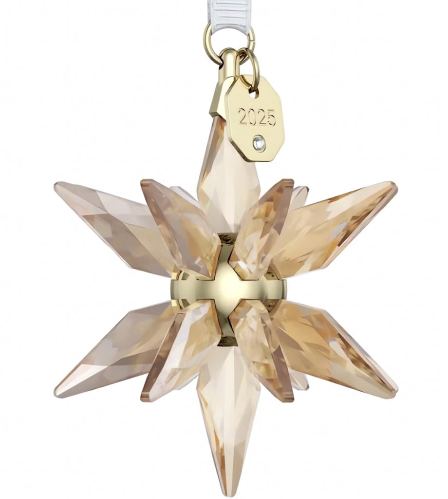 Annual Edition 2025: 3D Festive Snowflake Ornament