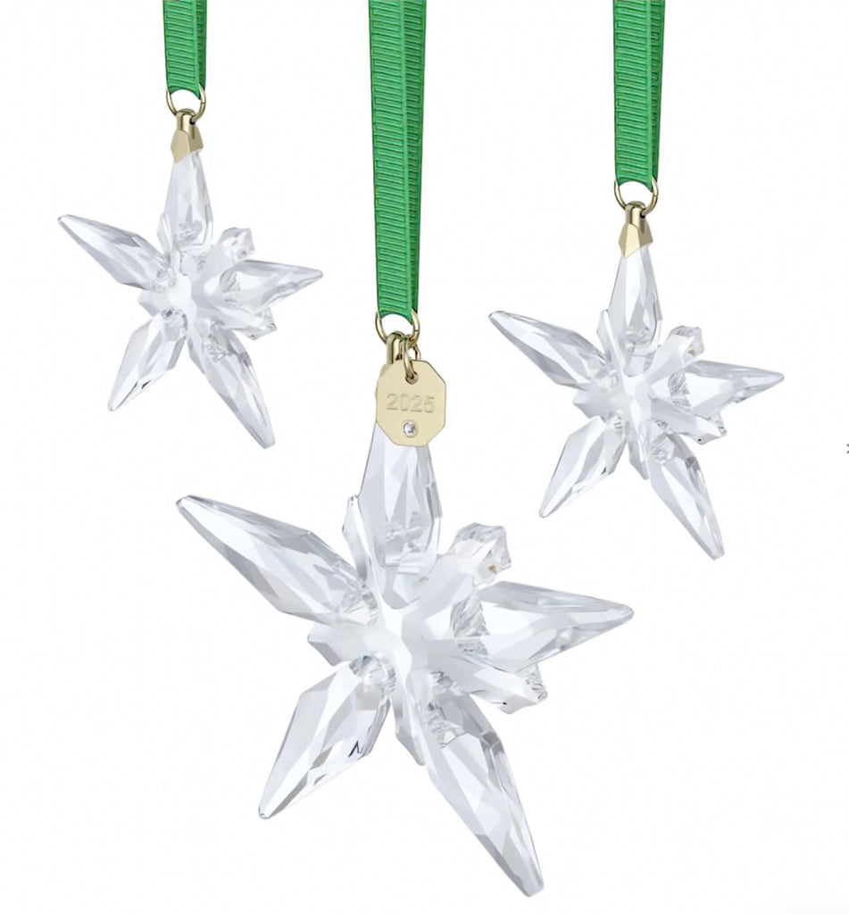 Annual Edition: 2025 Ornament Set