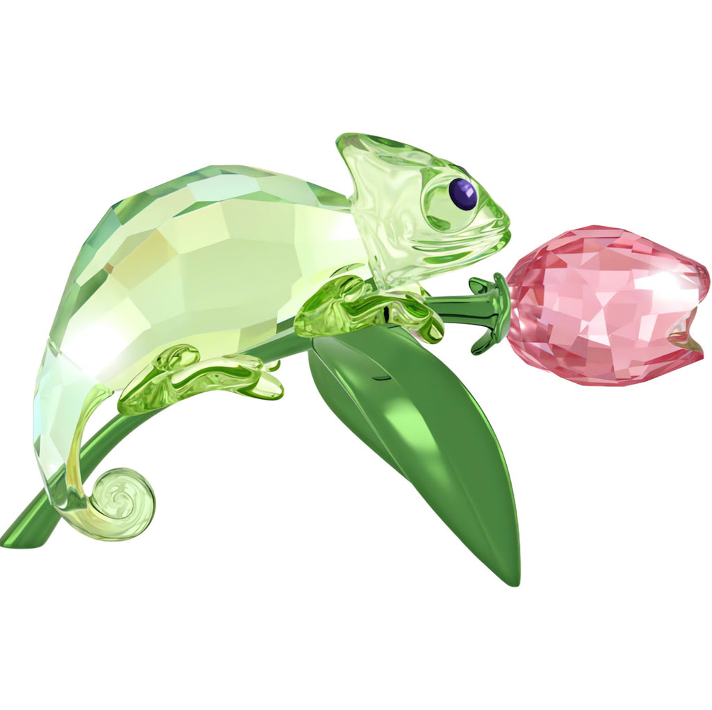 Idyllia: Chameleon and Tulip