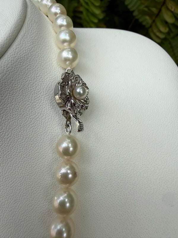 Japanese Akoya Pearls Necklace Strand (G)