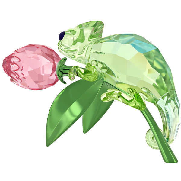 Idyllia: Chameleon and Tulip