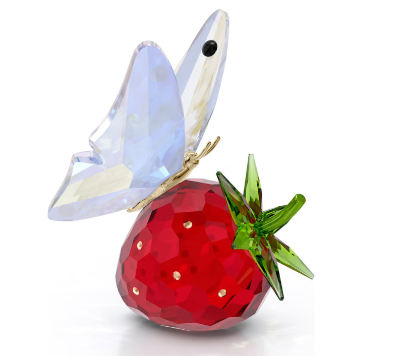 Ldyllia Butterfly and Strawberry