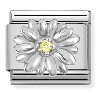 Nature - Daisy with CZ silver charm