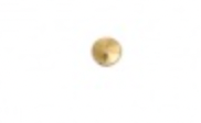 Disc Nose Stud - 2 colours