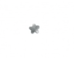 Star Nose Stud - 2 colours