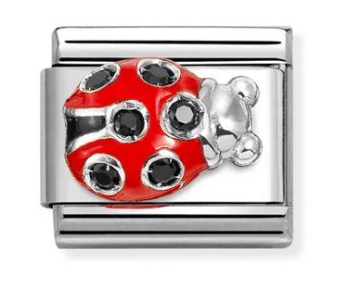 Ladybug Red and Black Silver