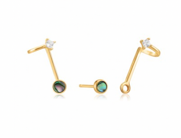 Turning Tides - Gold Tidal Abalone Earrings