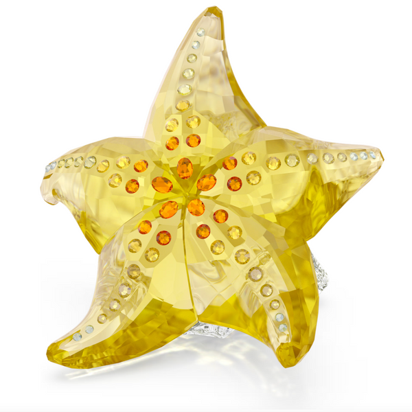 Idyllia: SCS Starfish