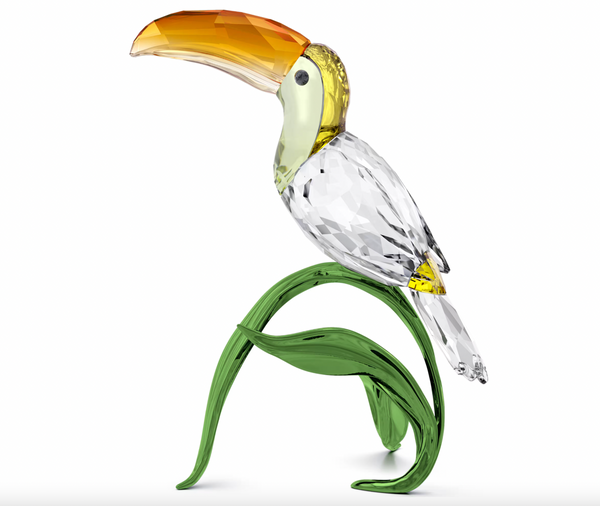 Idyllia: Toucan