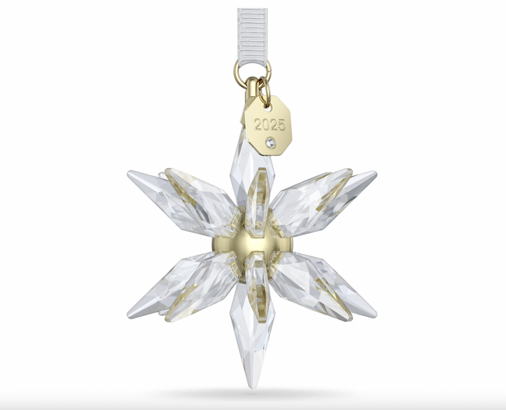 Annual Edition 2025: 3D Snowflake Ornament