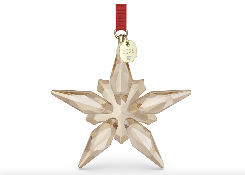 Annual Edition 2025: Snowflake Festive Ornament