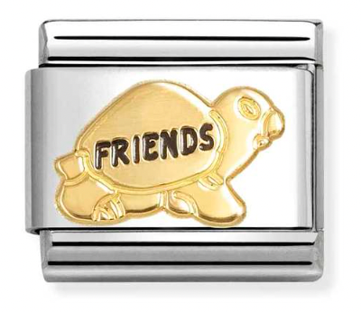 Animal - Turtle Friends Gold Charm