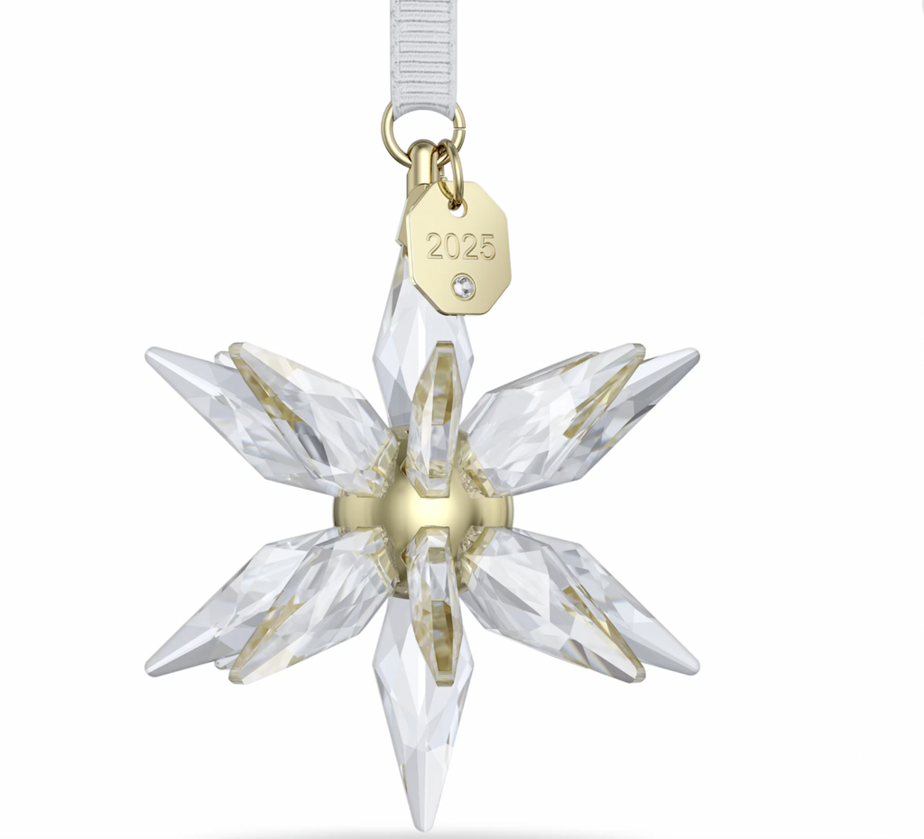 Annual Edition 2025: 3D Snowflake Ornament