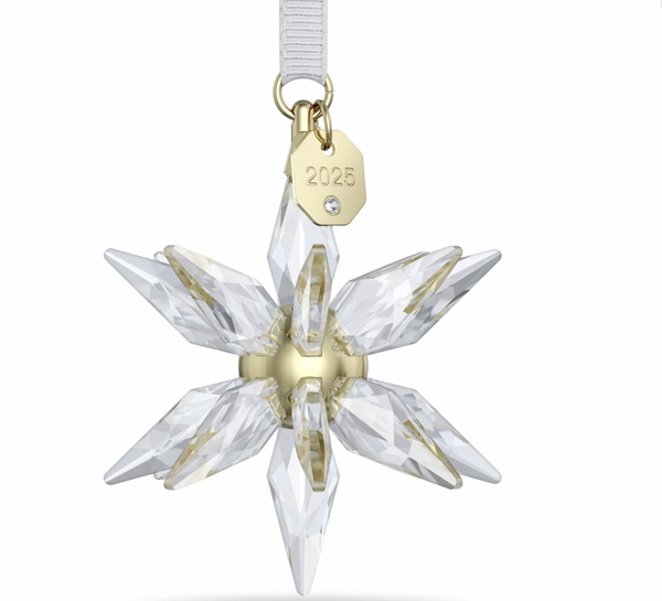 Annual Edition 2025: 3D Snowflake Ornament