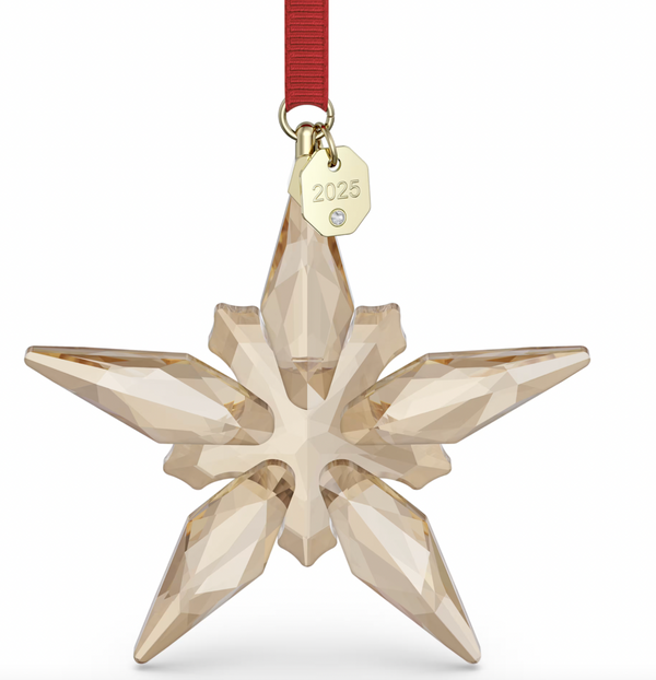 Annual Edition 2025: Snowflake Festive Ornament