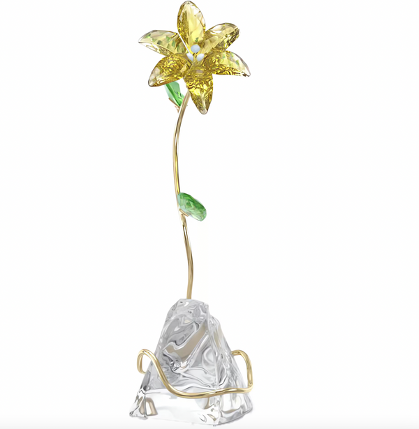 Florere: Lily