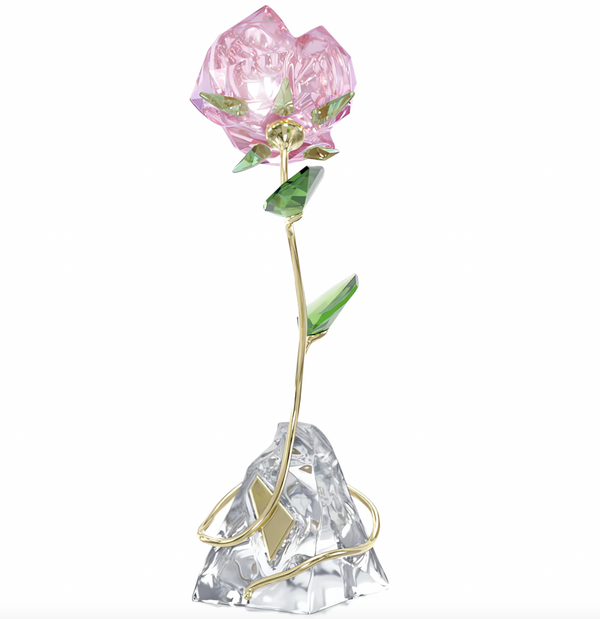 Florere: Rose