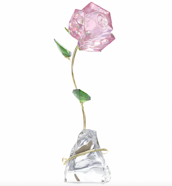 Florere: Rose