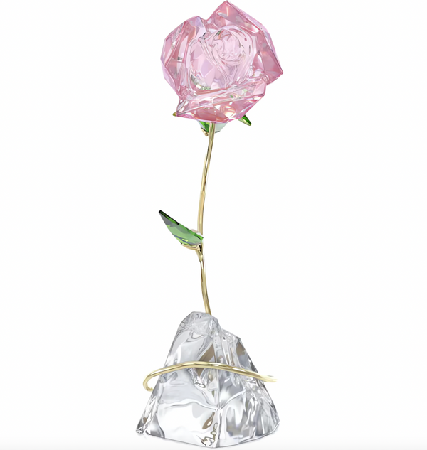 Florere: Rose