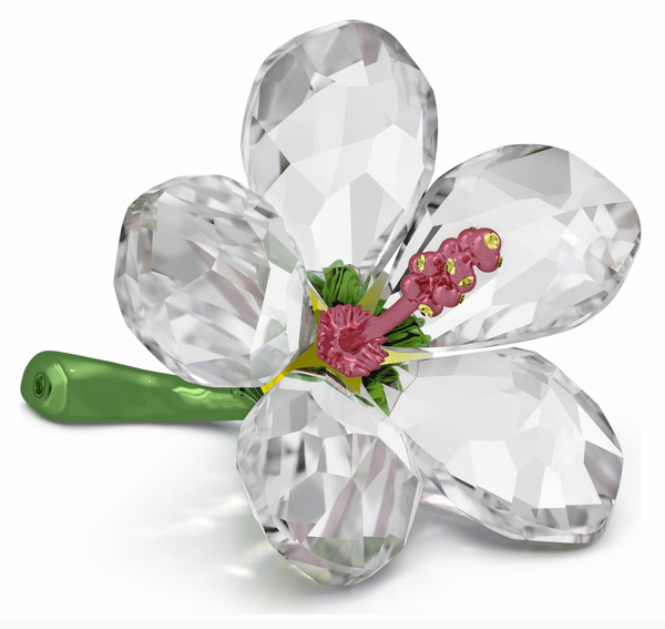 Florere: Small Hibiscus