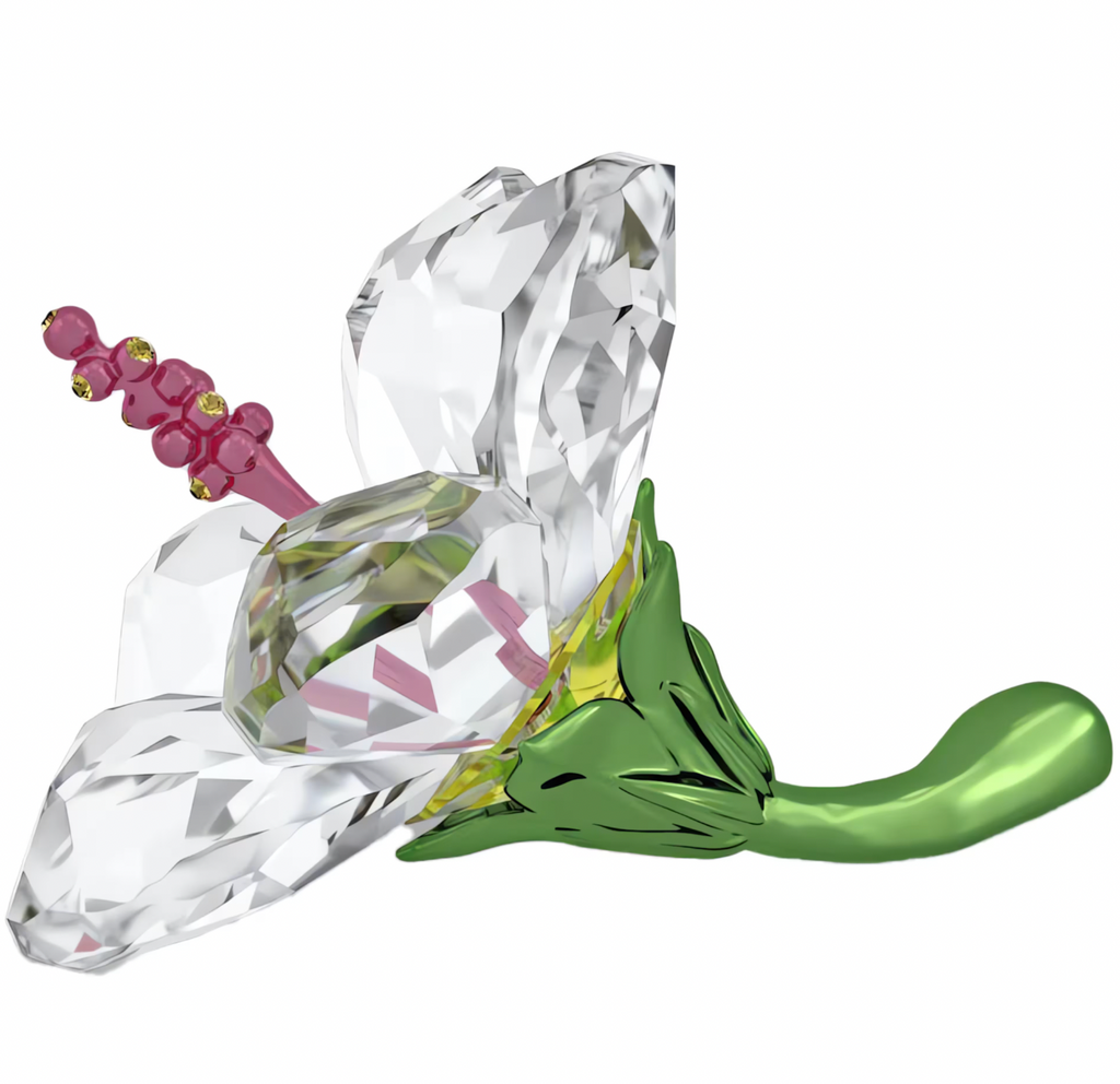 Florere: Small Hibiscus