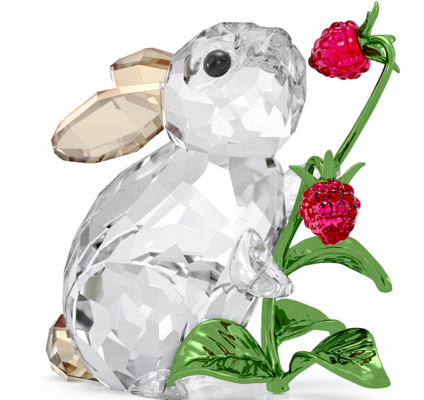 Idyllia: Rabbit and Raspberries