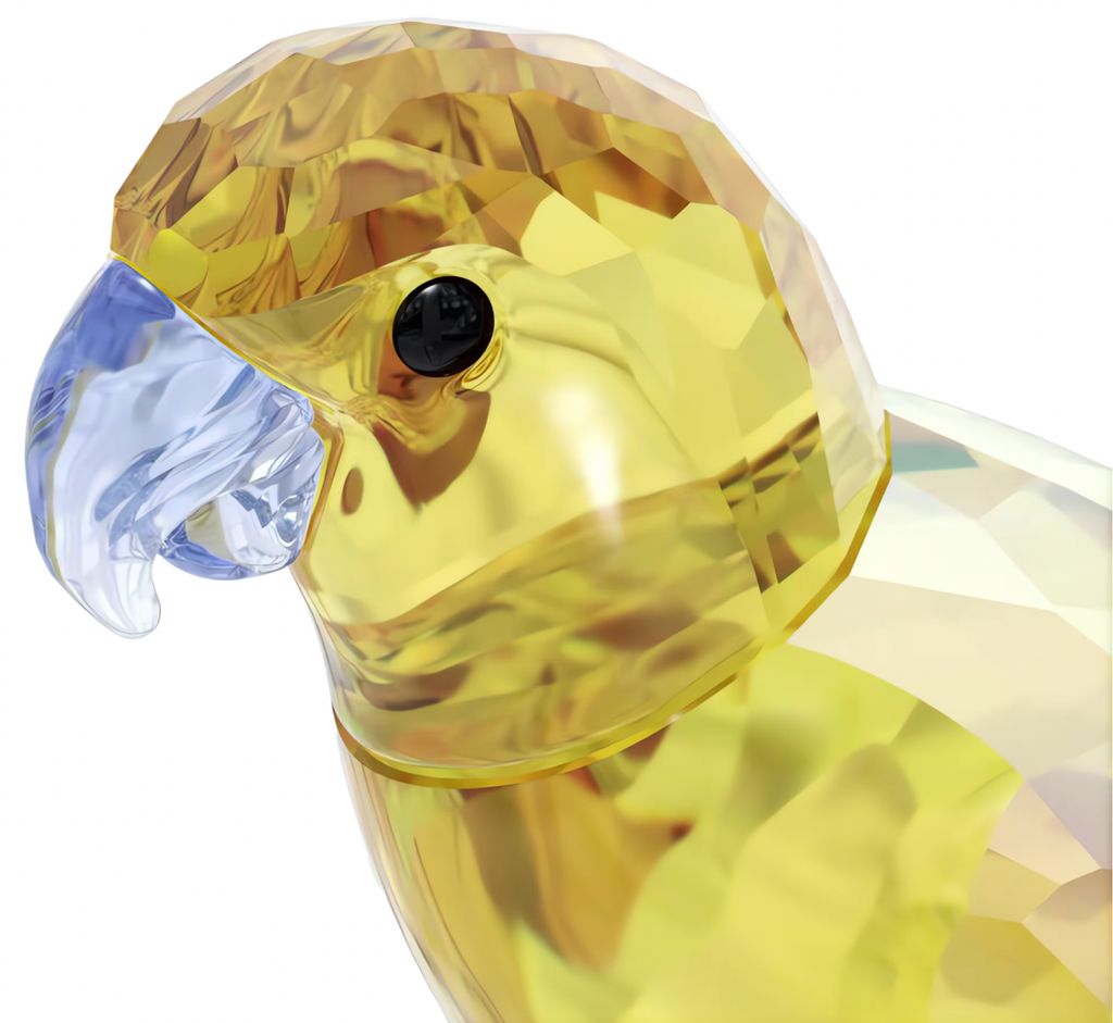 Jungle Beats: Yellow Parakeet Lechee