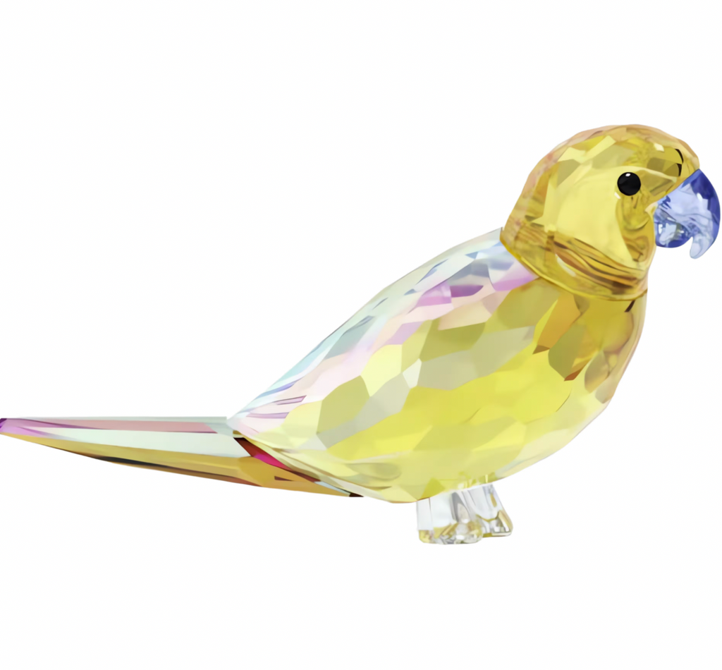 Jungle Beats: Yellow Parakeet Lechee