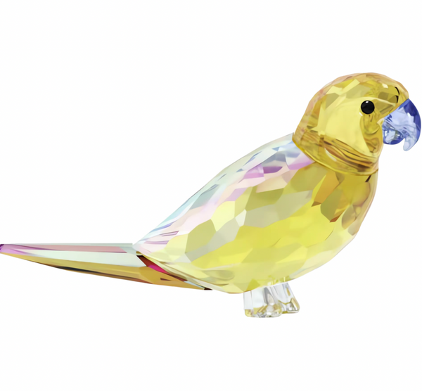 Jungle Beats: Yellow Parakeet Lechee