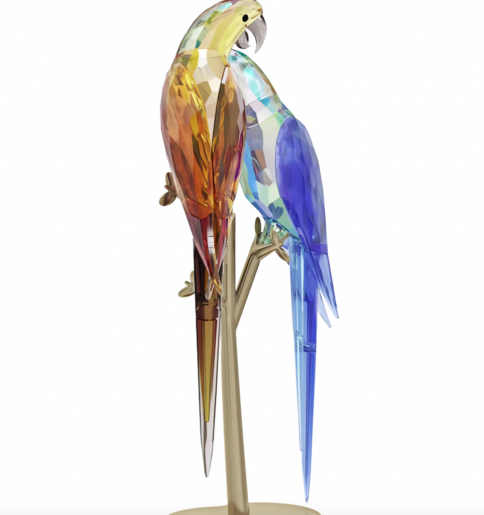 Jungle Beats: Parrot Couple
