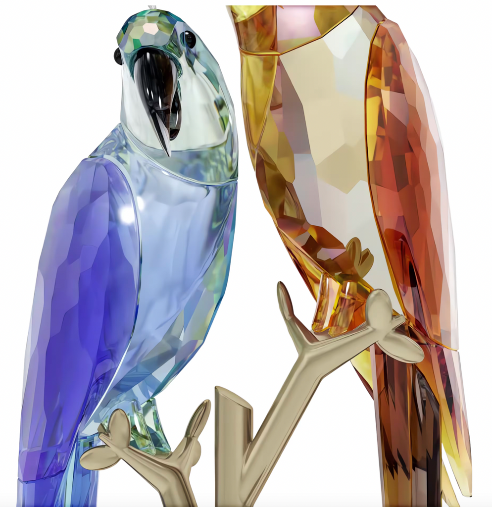 Jungle Beats: Parrot Couple