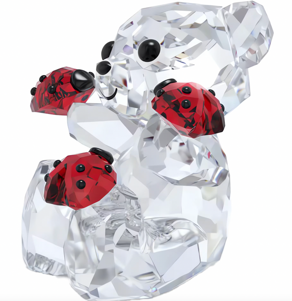 Kris Bear: Good Luck