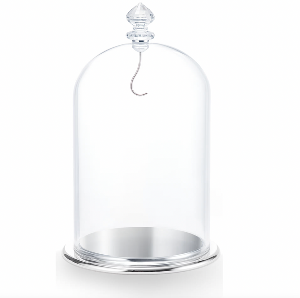 Large Bell Jar Display