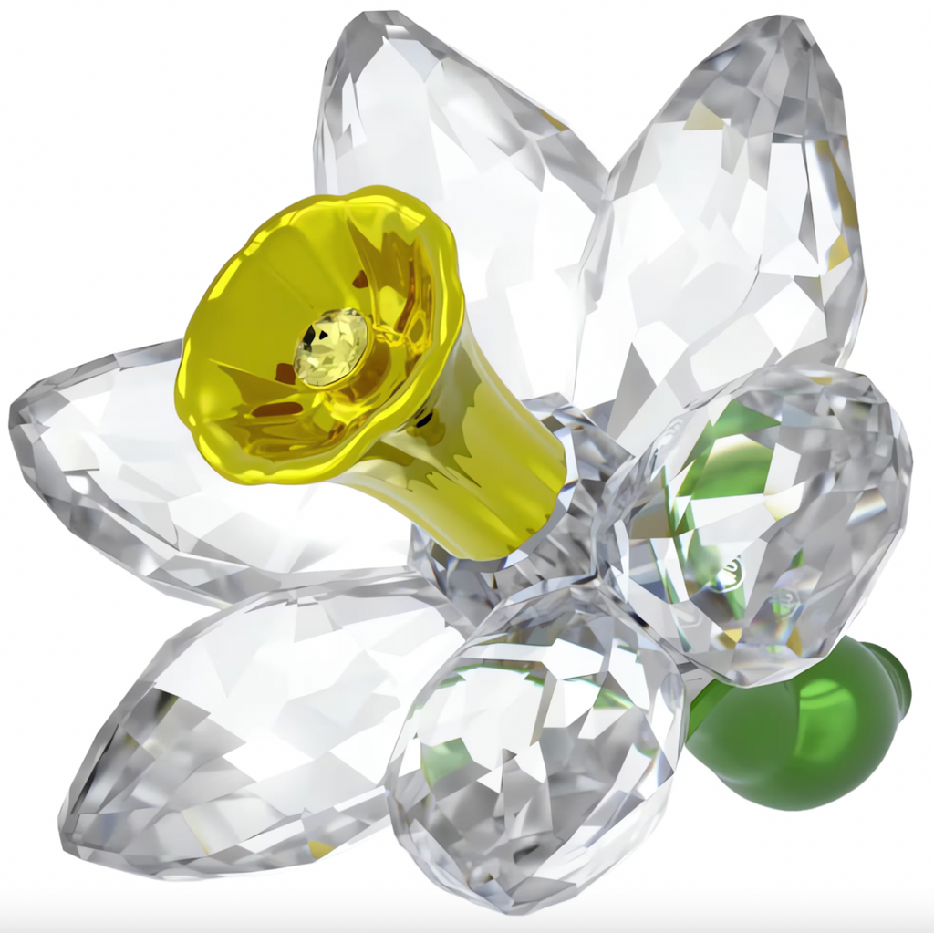 Florere: Daffodil