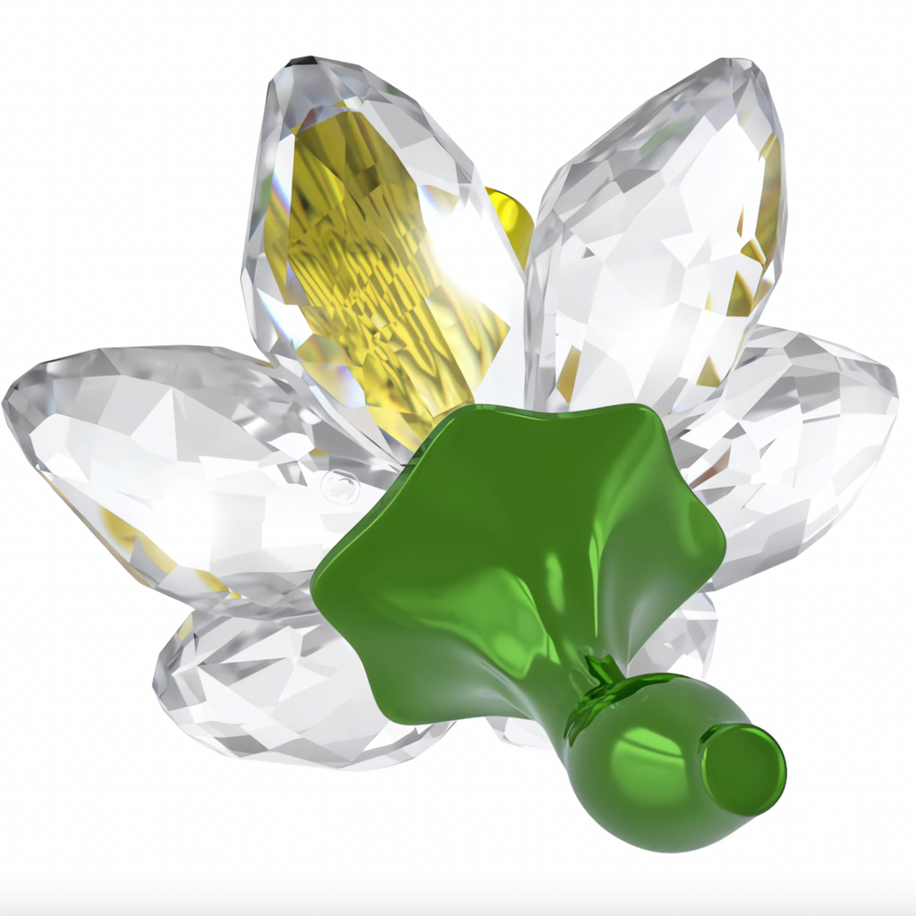 Florere: Daffodil
