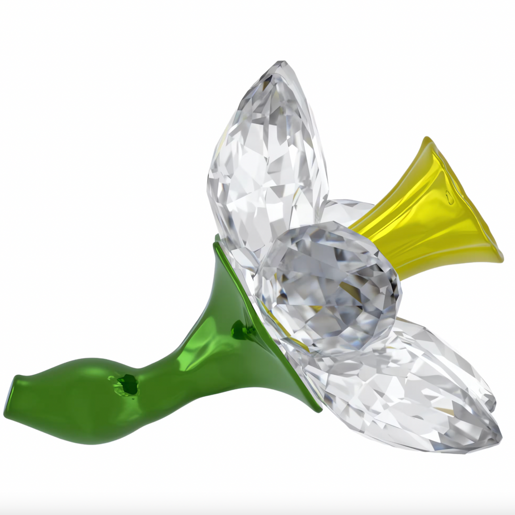 Florere: Daffodil