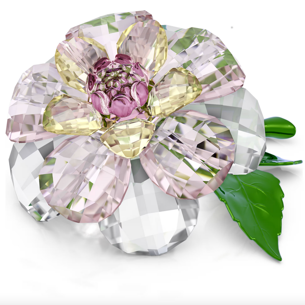 Florere: Camellia