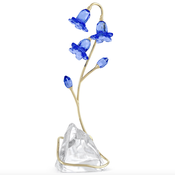 Florere: Blue Bellflower
