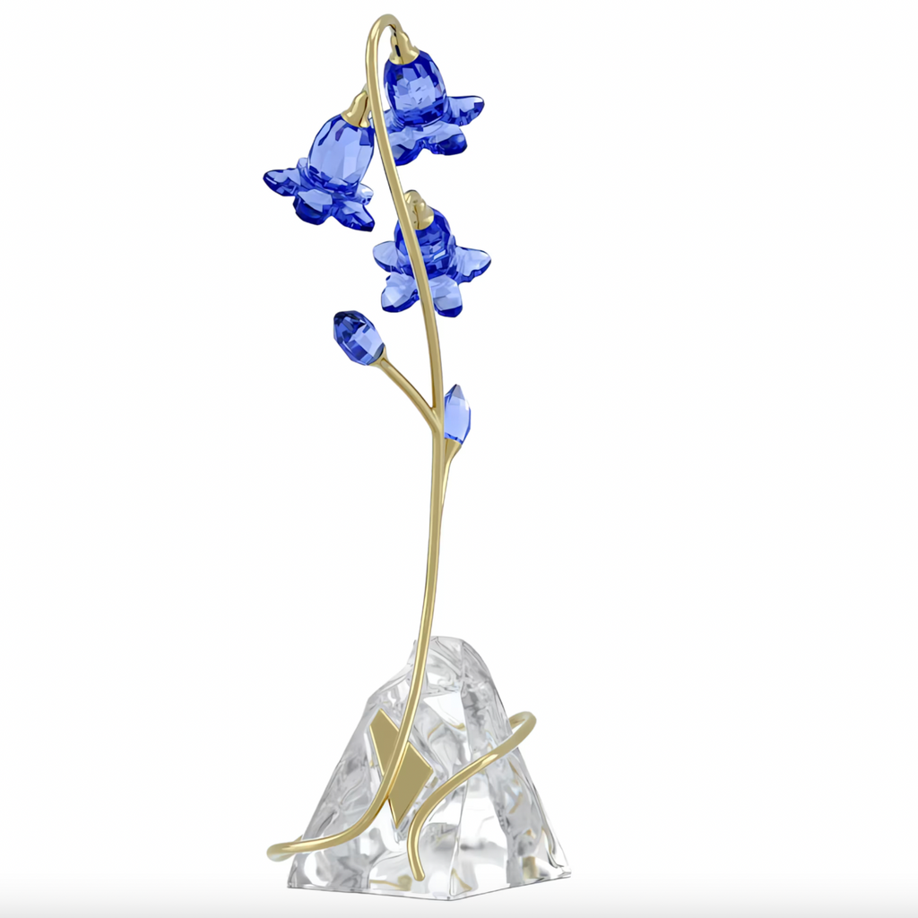 Florere: Blue Bellflower