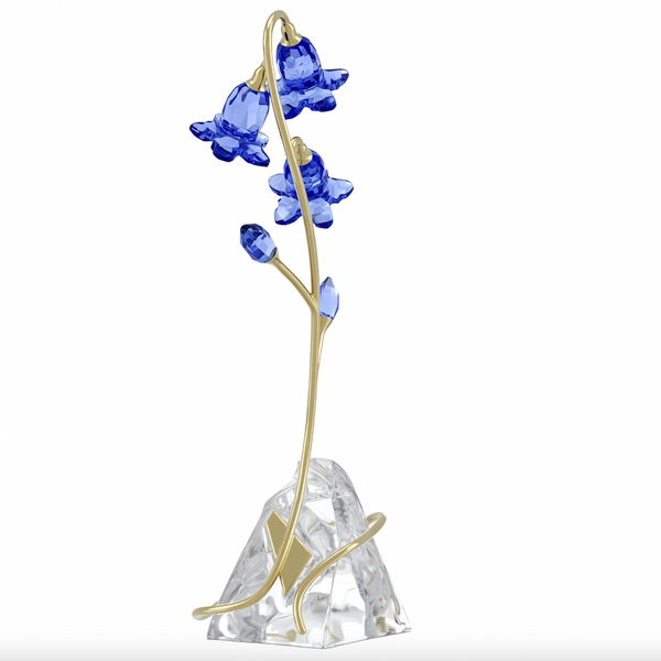 Florere: Blue Bellflower