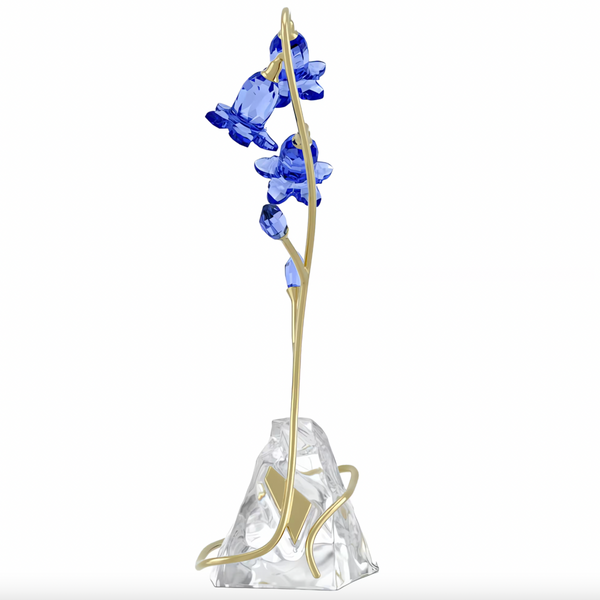 Florere: Blue Bellflower