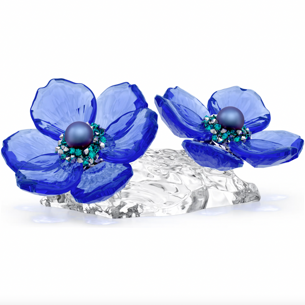 Idyllia: SCS Anemone Coronaria Flower