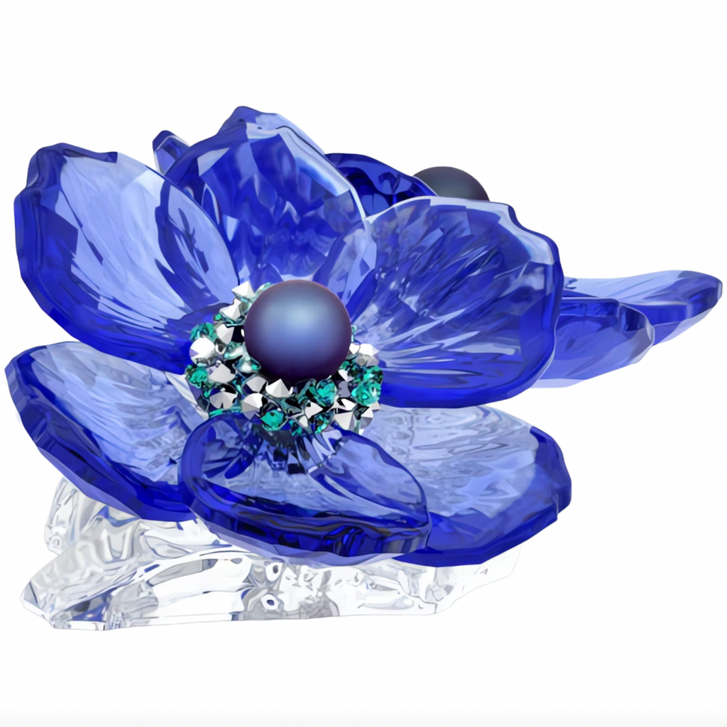 Idyllia: SCS Anemone Coronaria Flower