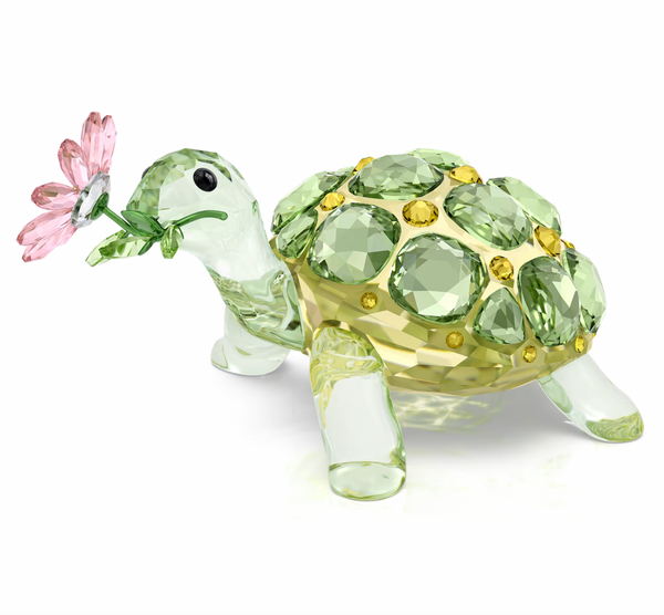 Idyllia: Tortoise and Daisy