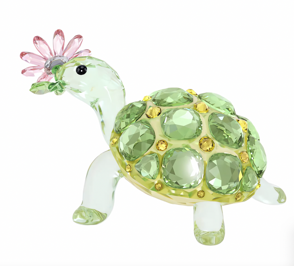 Idyllia: Tortoise and Daisy